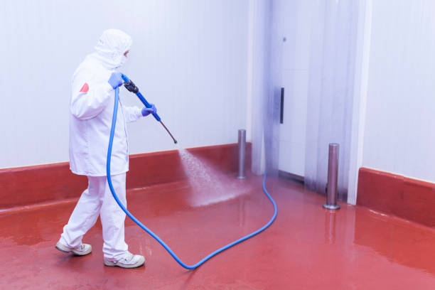 Best Playground Equipment Cleaning  in Thedral City, CA
